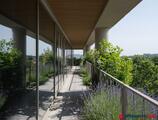 Offices to let in Revolucija BC