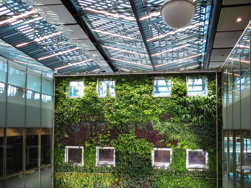 Green oases - a new trend in the development of residential and office buildings